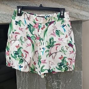 Ann Taylor shorts